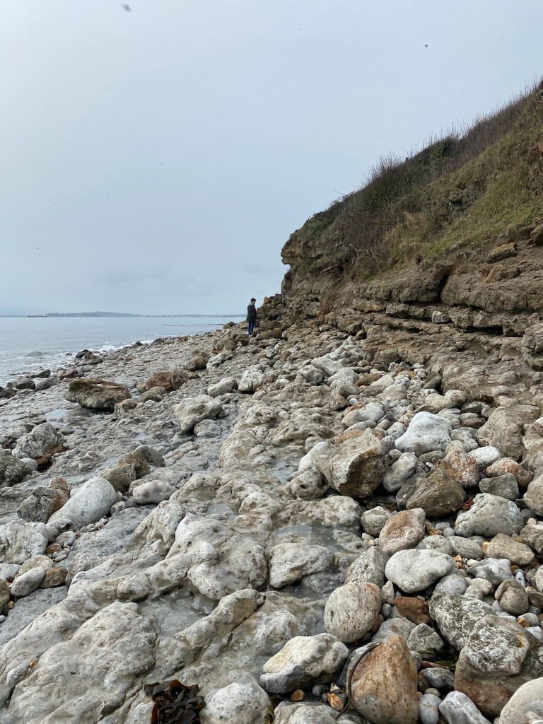 Osmington Mills UK Fossil Collecting