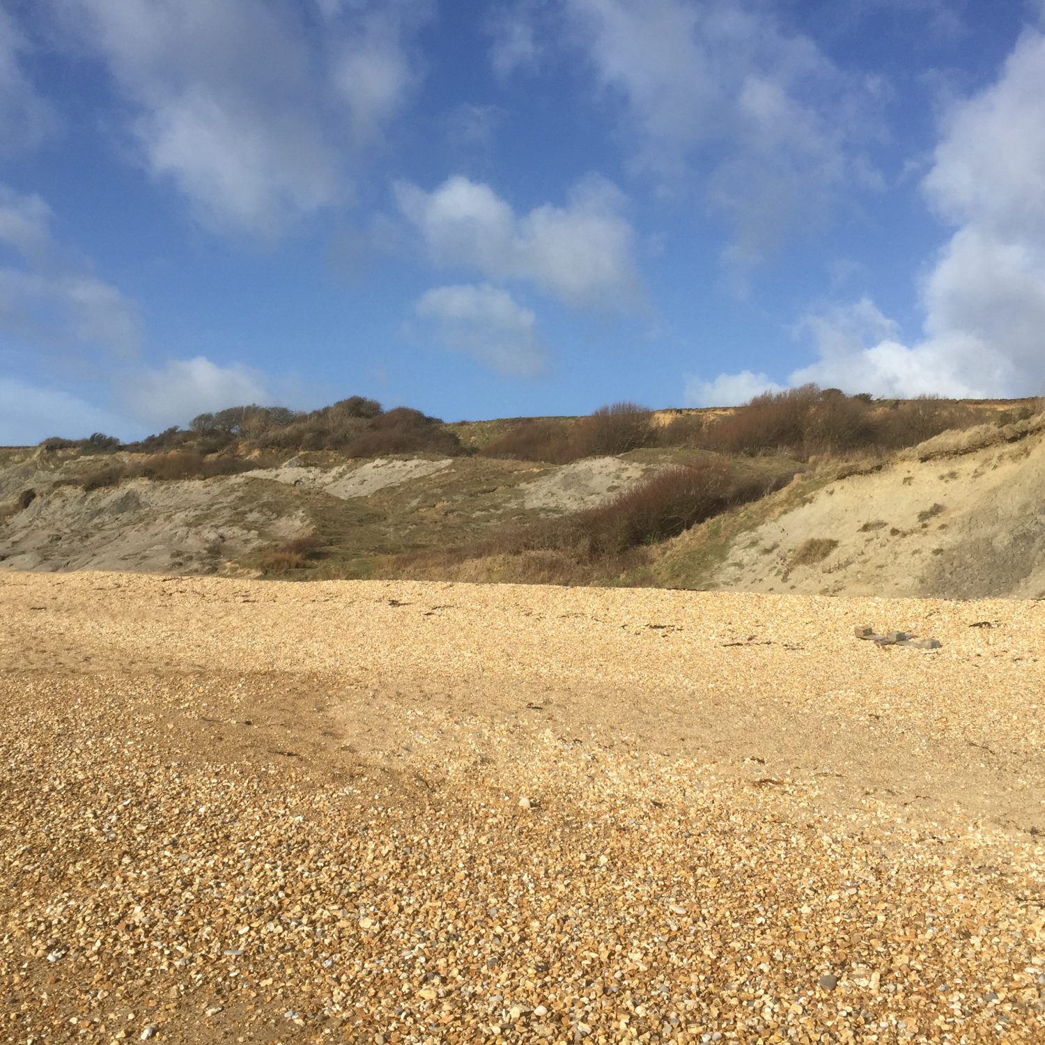 Bowleaze Cove UK Fossil Collecting