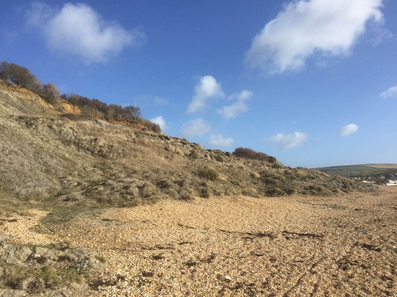 Bowleaze Cove UK Fossil Collecting