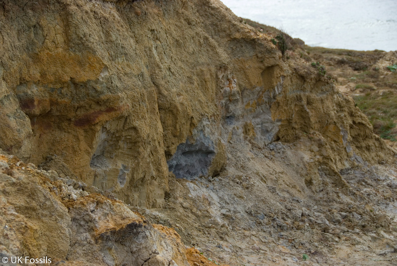 UK Fossil Collecting