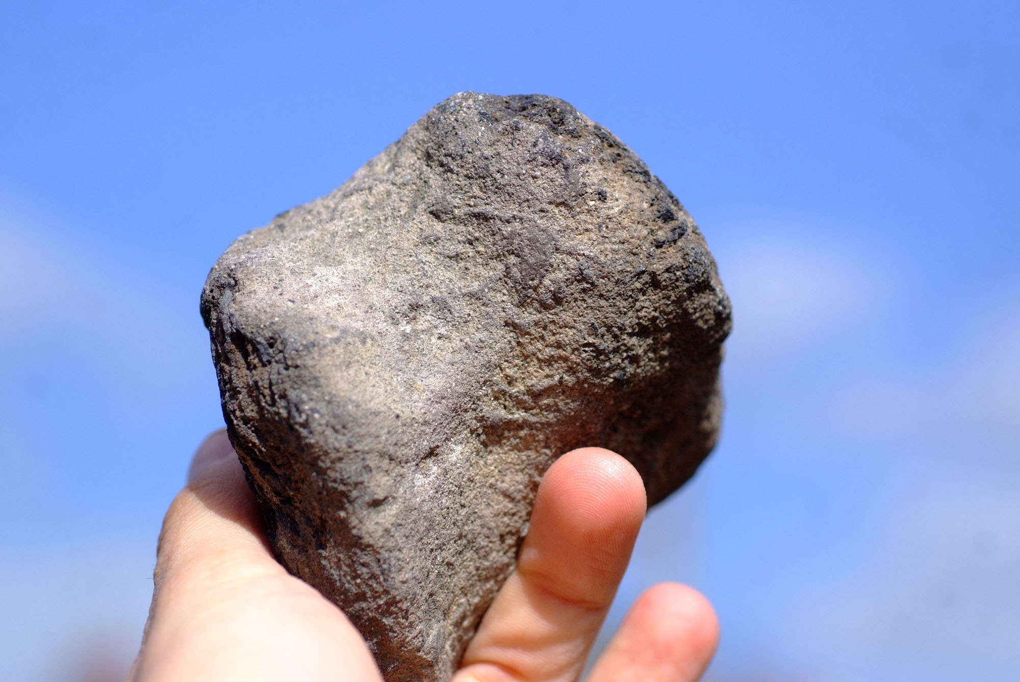 UK Fossil Collecting