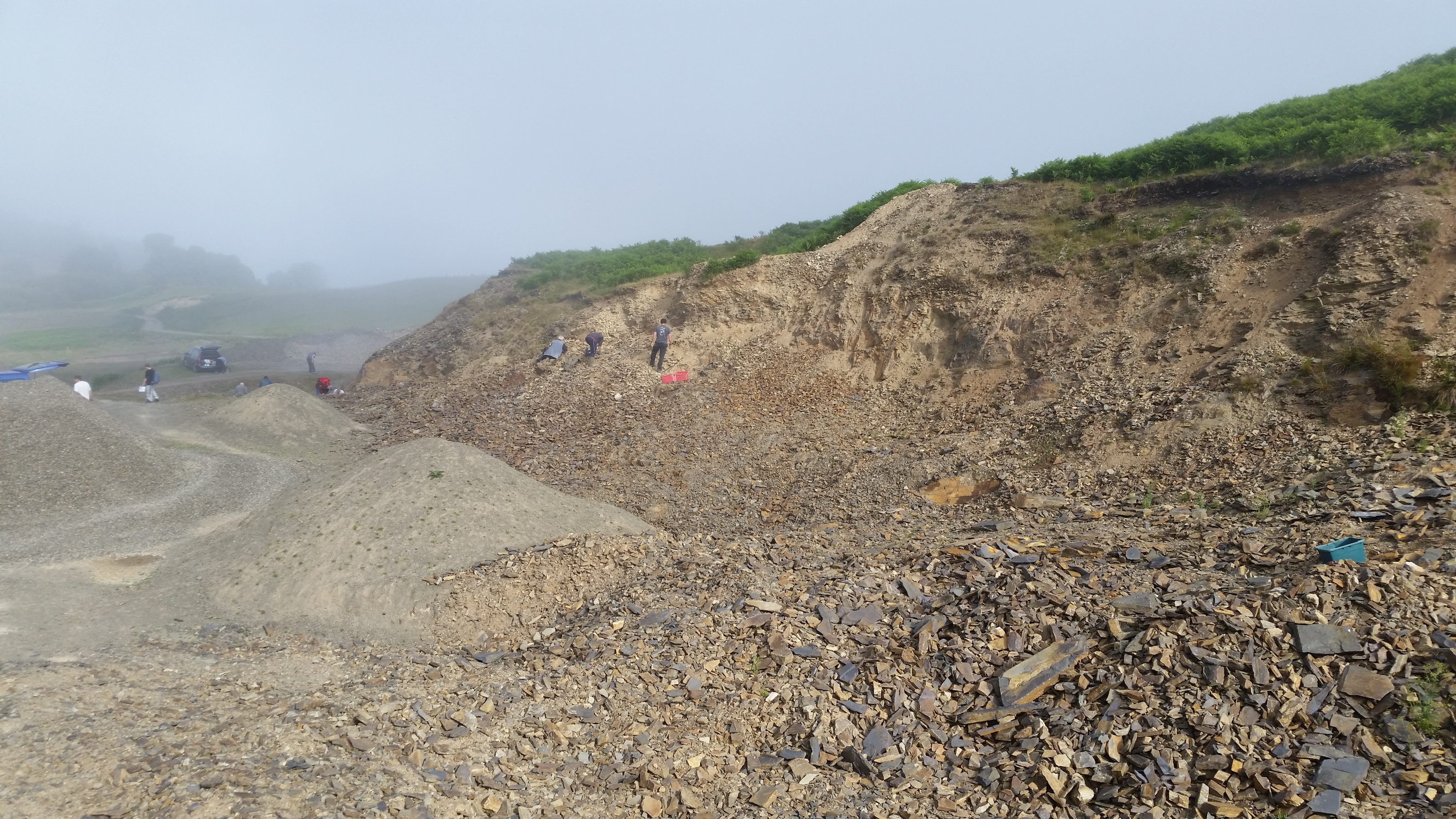 Upper Gilwern is a private quarry specially managed for fossil collectors, you will need to book in advance and pay a fee to the land owner.