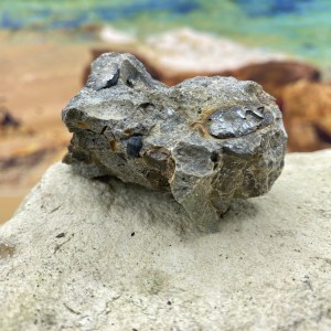 Bone Bed, Aust, Triassic (rock sample)