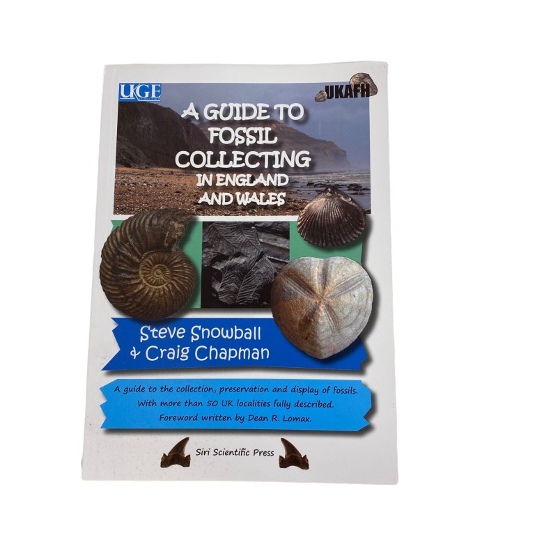 Blue Anchor UK Fossil Collecting